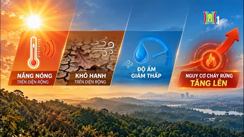 Cảnh báo cháy rừng (13/10/2026)