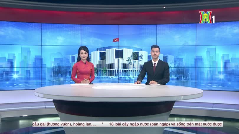 Minh bạch giá điện, siết an toàn sử dụng