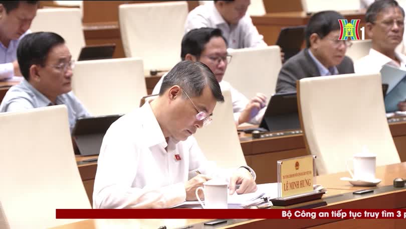 Bản tin 141 | 27/10/2026