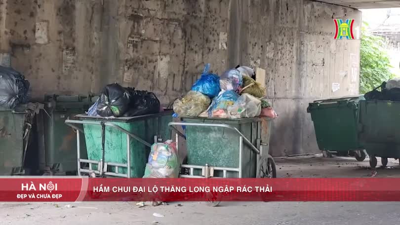 Hầm chui Đại Lộ Thăng Long ngập rác thải