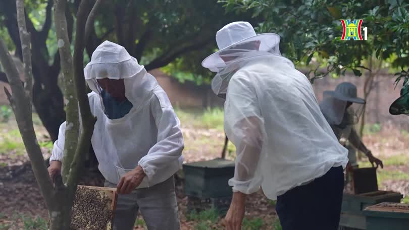 Mật ong hoa rừng | Mỗi xã một sản phẩm | 27/10/2026
