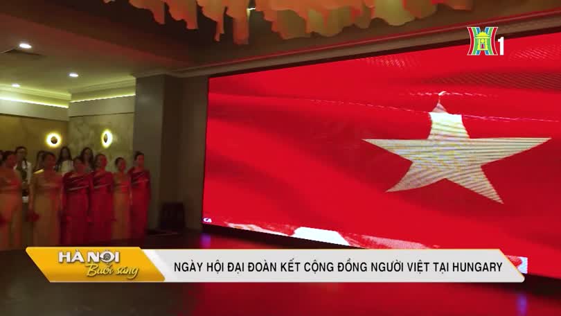 Ngày hội Đại đoàn kết cộng đồng người Việt tại Hungary