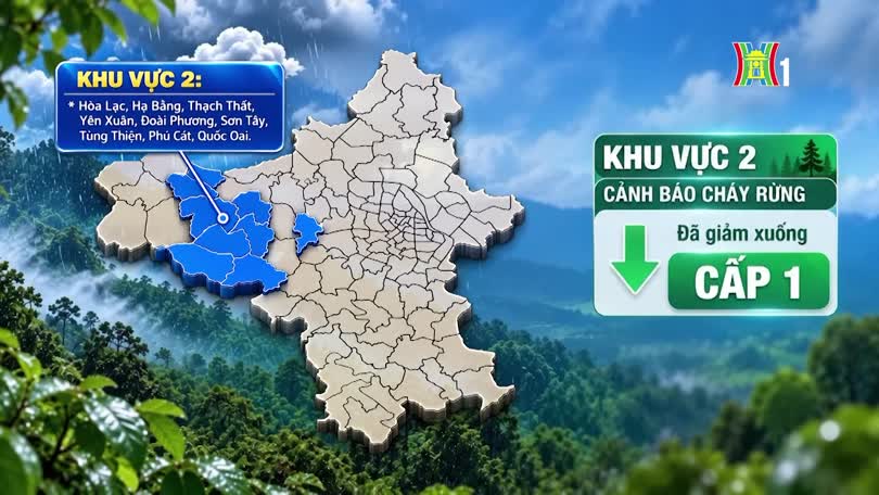 Cảnh báo cháy rừng (28/10/2026)