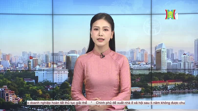 Làm sạch dữ liệu doanh nghiệp trên hệ thống đăng ký người sử dụng