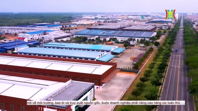 Bản tin Kinh tế Tài chính | 25/09/2026