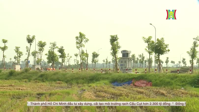 Bản tin Nhà đất và đầu tư | 28/09/2026