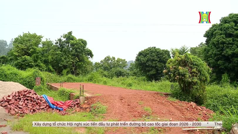 Bản tin Nhà đất và đầu tư | 29/09/2026