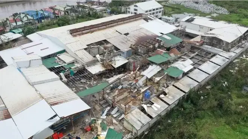 Miễn, giảm thuế cho doanh nghiệp bị thiệt hại do bão lũ