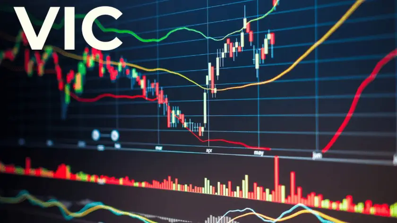 VIC lần đầu vượt mốc 200.000 đồng/cp, tăng hơn 400%