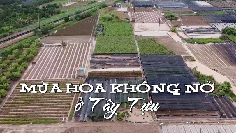 Mùa hoa không nở ở Tây Tựu | Nhịp sống Hà Nội | 13/10/2025