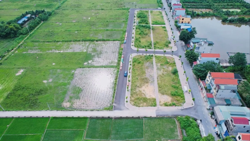 Biện pháp ngăn chặn đấu giá rồi bỏ cọc