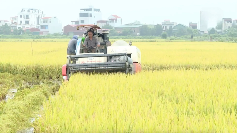 Chung tay hiện đại hoá đồng ruộng | Chuyện ở ngoại thành | 18/10/2025
