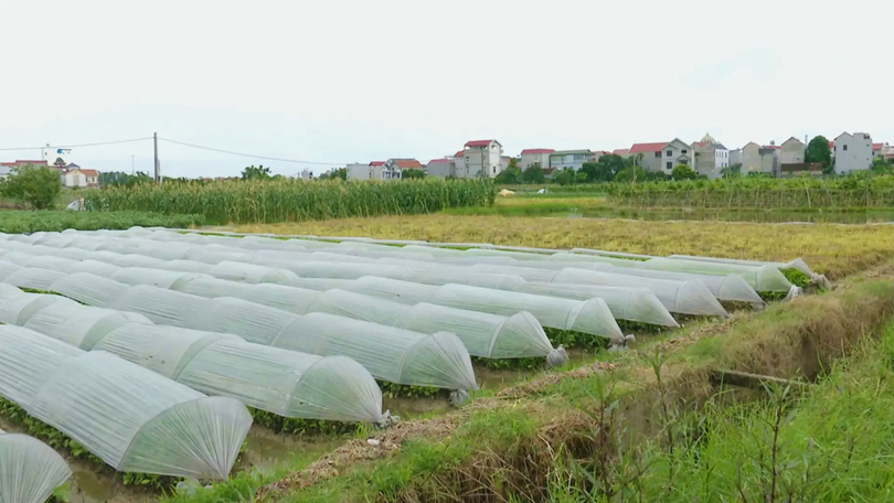 Kiến nghị giảm phí chuyển mục đích sử dụng đất vườn, ao