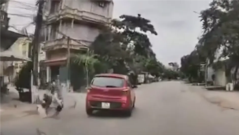 Ô tô vượt ẩu gây tai nạn giao thông