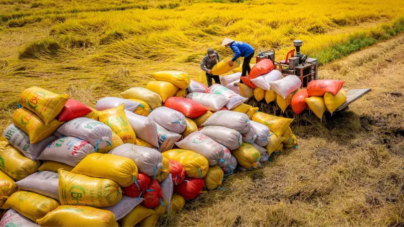 Việt Nam giữ vững vị thế nhóm đầu xuất khẩu gạo thế giới