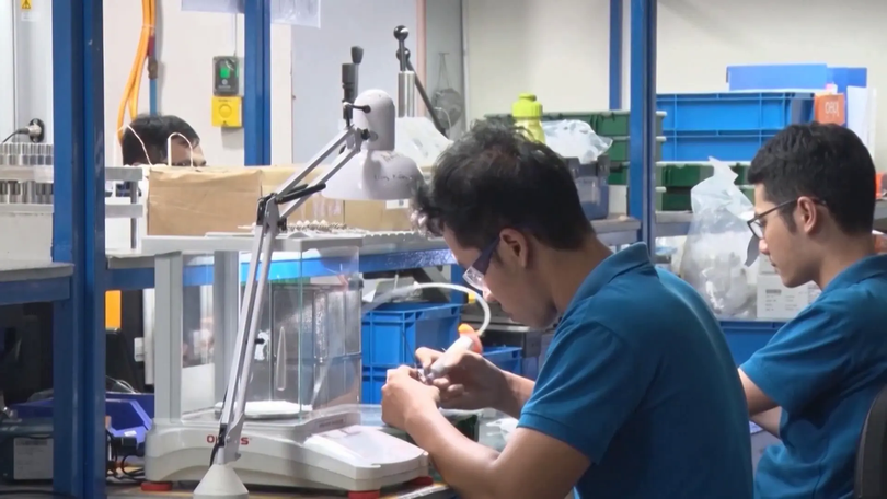 Hỗ trợ kết nối doanh nghiệp Việt Nam - CHLB Đức | Phóng sự | 01/10/2025