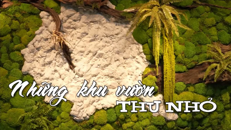 Những khu vườn thu nhỏ | Nhịp sống Hà Nội | 18/11/2025