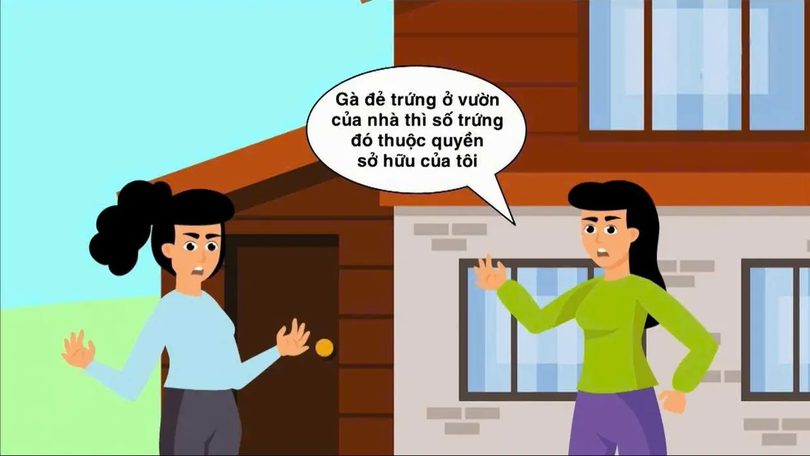 Xác lập quyền sở hữu đối với hoa màu | Sống và làm việc theo pháp luật | 19/11/2025