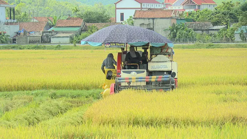 Triển khai quy định xây dựng tại vùng nông nghiệp tập trung