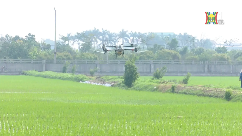 Nông thôn mới tạo điều kiện đưa khoa học vào đồng ruộng | Nông thôn mới Hà Nội | 23/11/2025