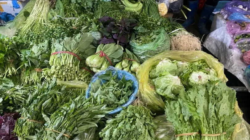Tăng nguồn cung để bình ổn thị trường rau xanh