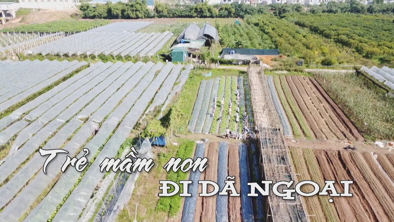 Trẻ mầm non đi dã ngoại | Nhịp sống Hà Nội | 23/11/2025
