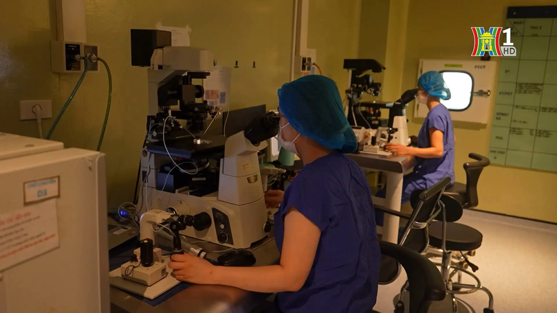 Kỹ thuật IVF thêm cơ hội cho gia đình hiếm muộn | Sức khỏe cộng đồng  | 28/11/2025