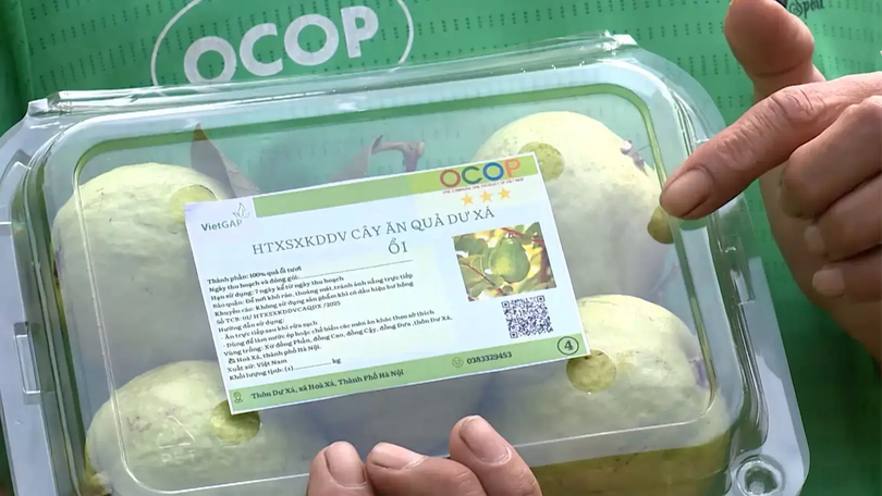 Giá trị từ thương hiệu OCOP | Mỗi xã một sản phẩm | 03/11/2025