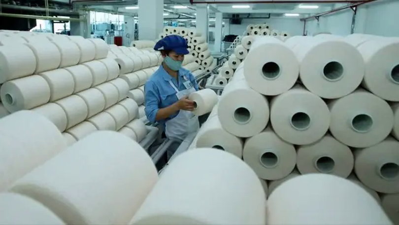 Sợi Thế Kỷ bị truy thu hơn 444 triệu đồng tiền thuế