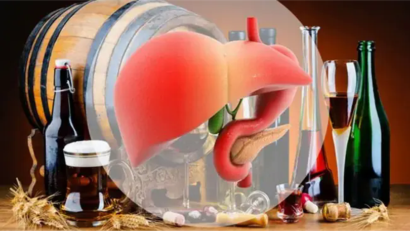 Giải pháp thải độc bia rượu: Đột phá mới bảo vệ gan