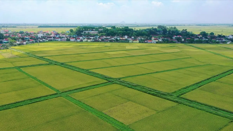Miễn thuế sử dụng đất nông nghiệp thêm 5 năm