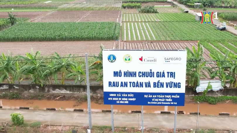 Hợp tác xã Hà Nội  mới và phát triển | Phóng sự | 09/11/2025