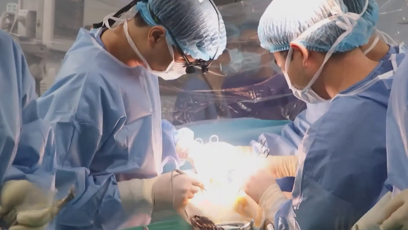 300 ca ghép gan – hành trình nối dài sự sống