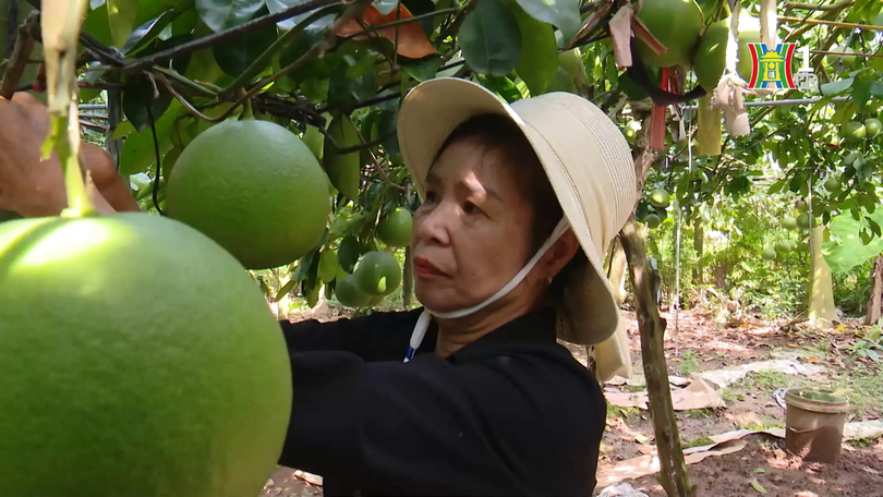 Những bông hoa thầm lặng giữa đời thường | Người tốt quanh ta | 11/12/2025