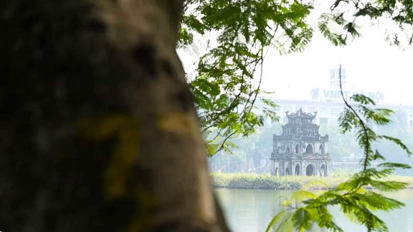 Thở cùng thành phố