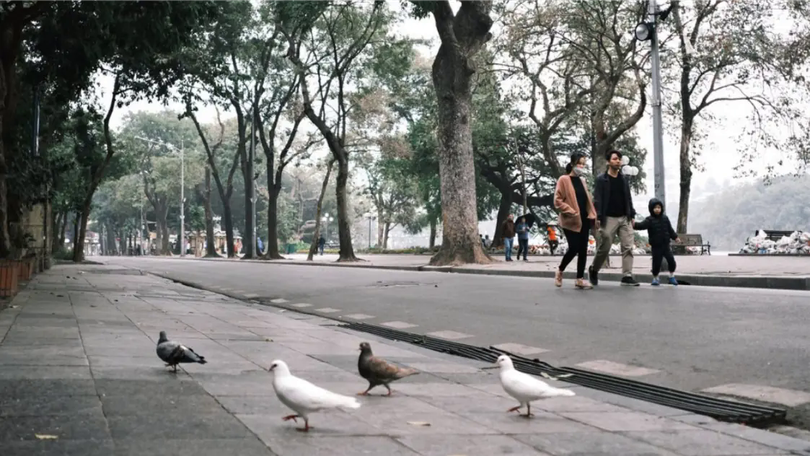 Thời tiết 11/12: Hà Nội rét vào sáng sớm, ban ngày hửng nắng