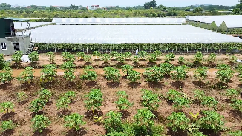 Từ 2026, chuyển đất vườn sang đất ở chỉ nộp 30%