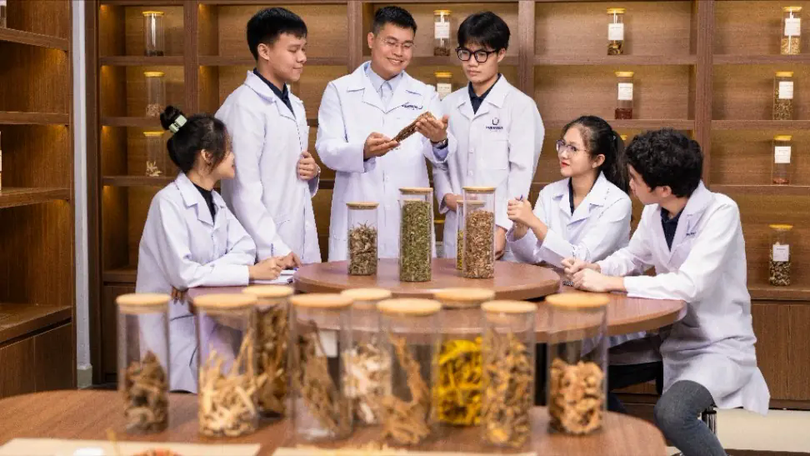 Tôn vinh di sản Ngự y, phát huy y học cổ truyền