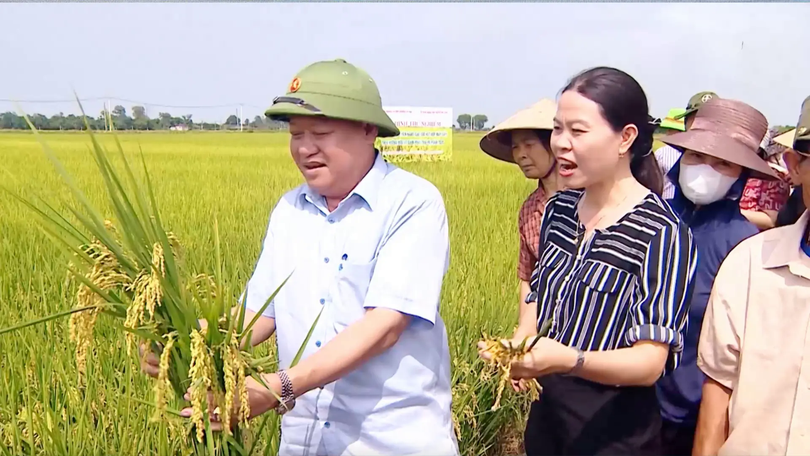Chiến lược phát triển nông nghiệp và nông thôn bền vững | Nông nghiệp và Môi trường | 14/12/2025