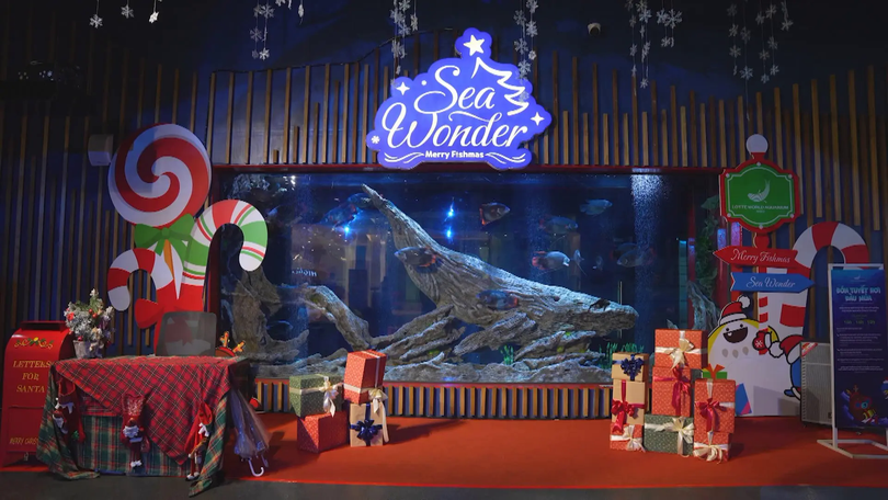 Điểm chụp ảnh Giáng sinh ấn tượng tại Thuỷ cung Lotte World