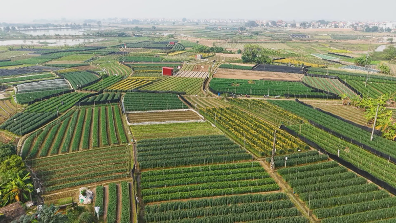 Thay đổi tư duy trong sản xuất nông nghiệp | Nông nghiệp và Môi trường | 21/12/2025