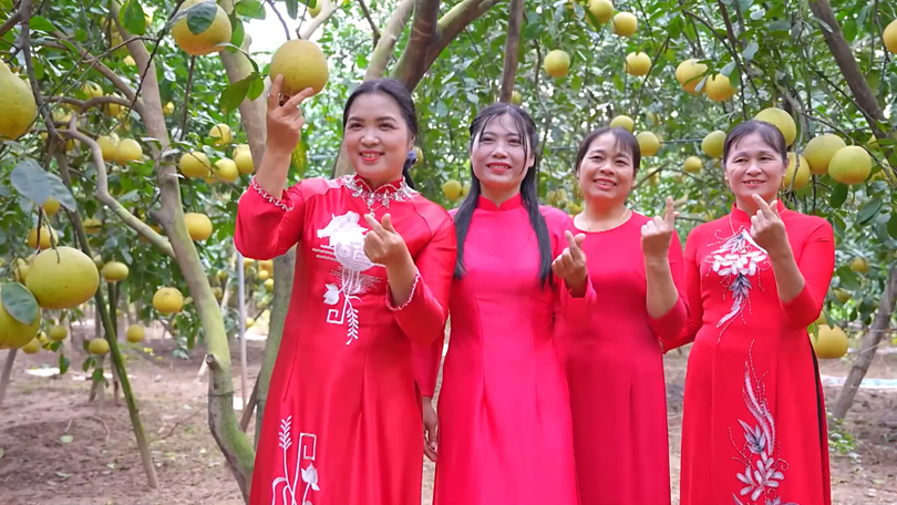 Mùa bưởi ở xã Phúc Lộc | Hà Nội đến để yêu | 22/12/2025