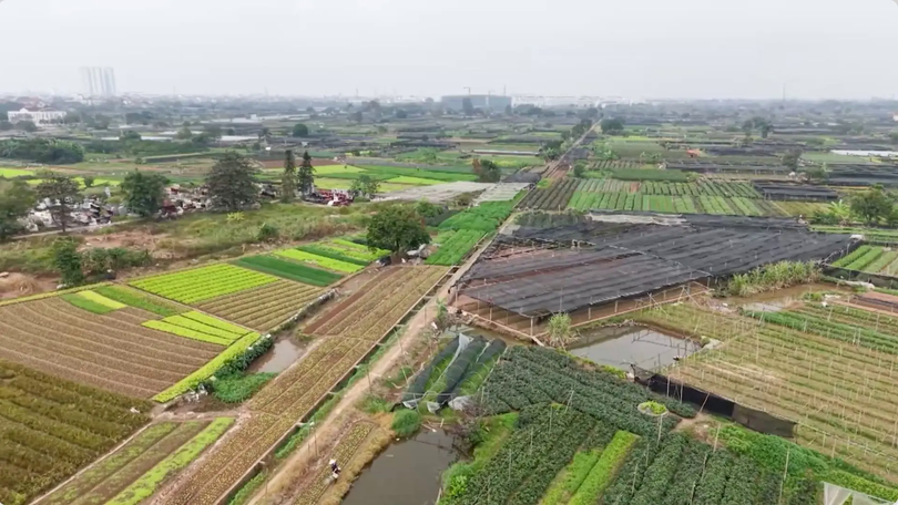 Tăng tốc GPMB tại khu công nghệ cao sinh học Hà Nội