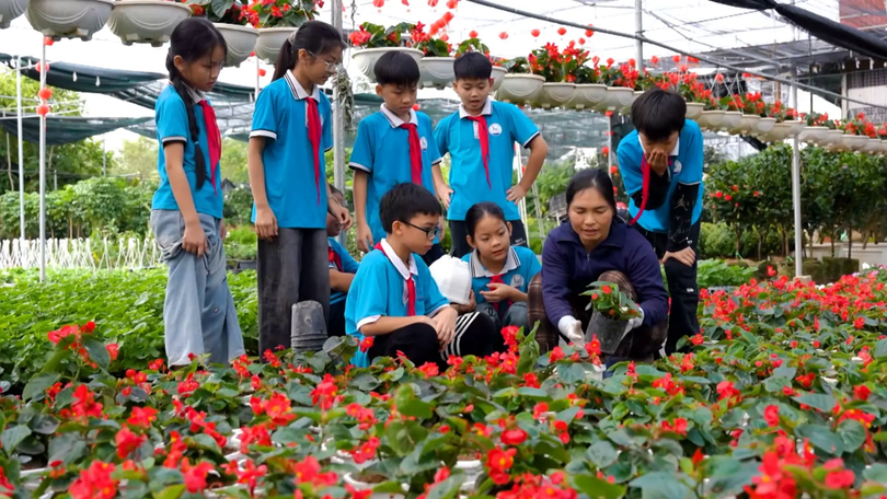 Sắc hoa Tường Phiêu | Hà Nội đến để yêu | 29/12/2025