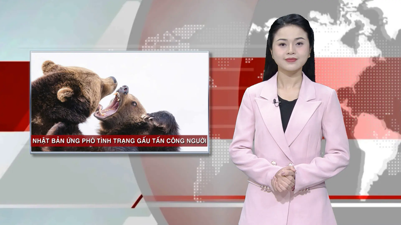 Nhật Bản ứng phó tình trạng gấu tấn công người | Nhìn ra thế giới | 03/12/2025