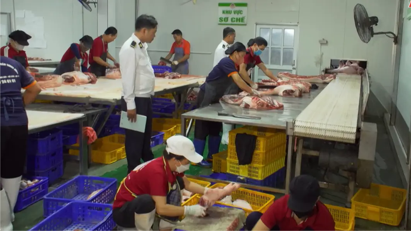 Hà Nội tăng cường quản lý giết mổ động vật | Phóng sự | 27/11/2025
