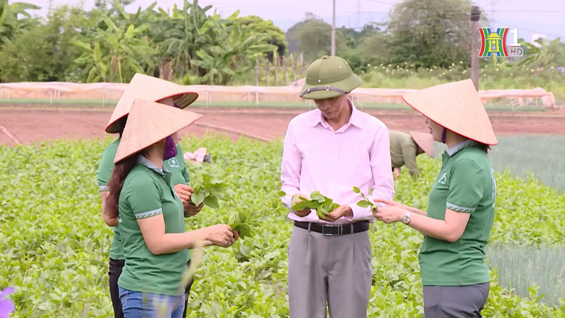 Nhà khoa học vì nông dân | Người tốt quanh ta | 06/12/2025