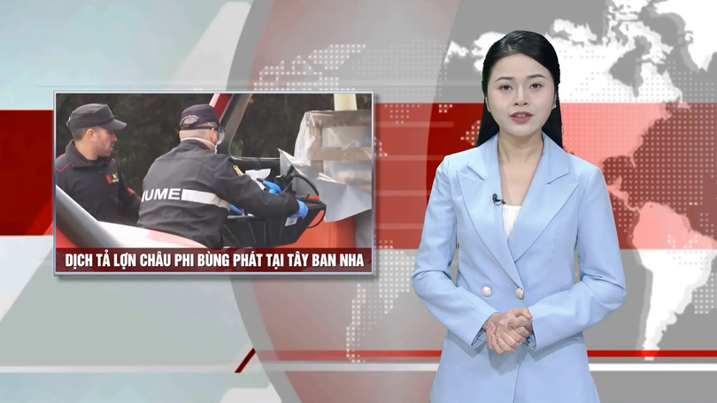 Dịch tả lợn châu Phi bùng phát tại Tây Ban Nha | Nhìn ra thế giới | 05/12/2025