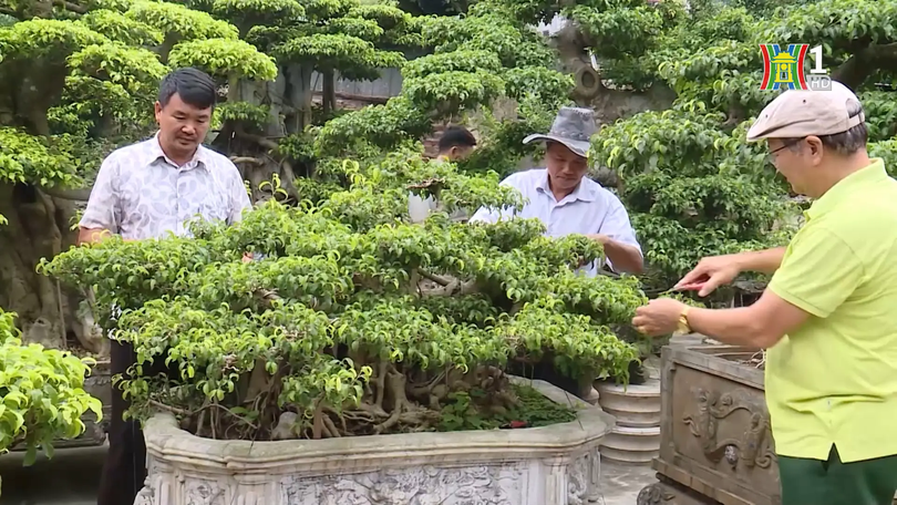 Nông thôn mới thúc đẩy phát triển nông sản giá trị cao | Nông thôn mới Hà Nội | 07/12/2025