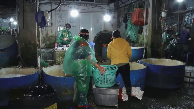 Chợ cá lớn nhất Hà Nội đang xuống cấp nghiêm trọng